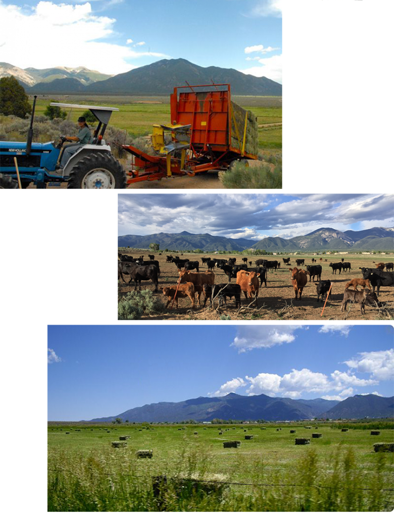 farming ranching