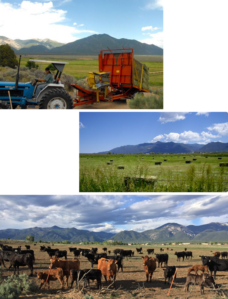 farming & ranching