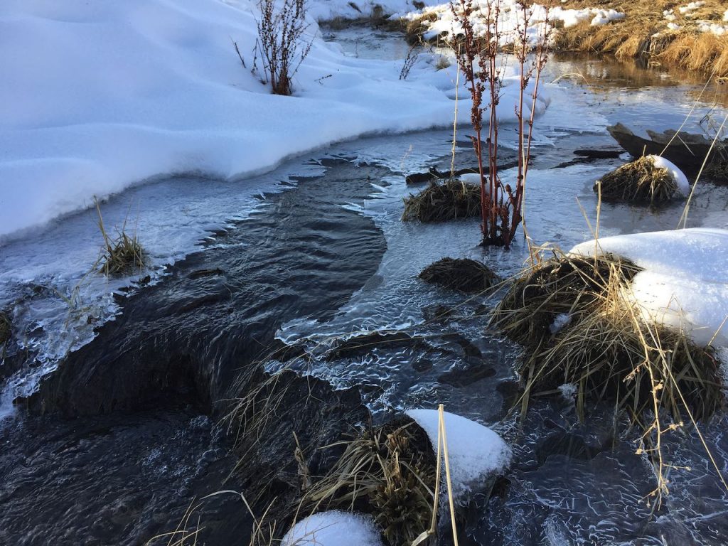 winter scene at TREV